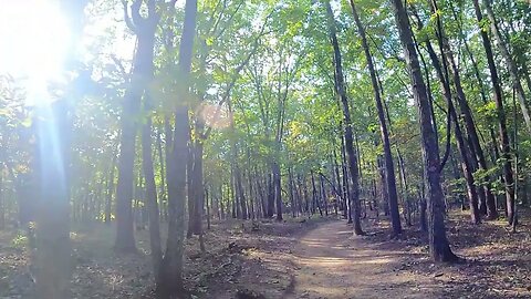 Crowders Mountain State Park | Pinnacle Trail