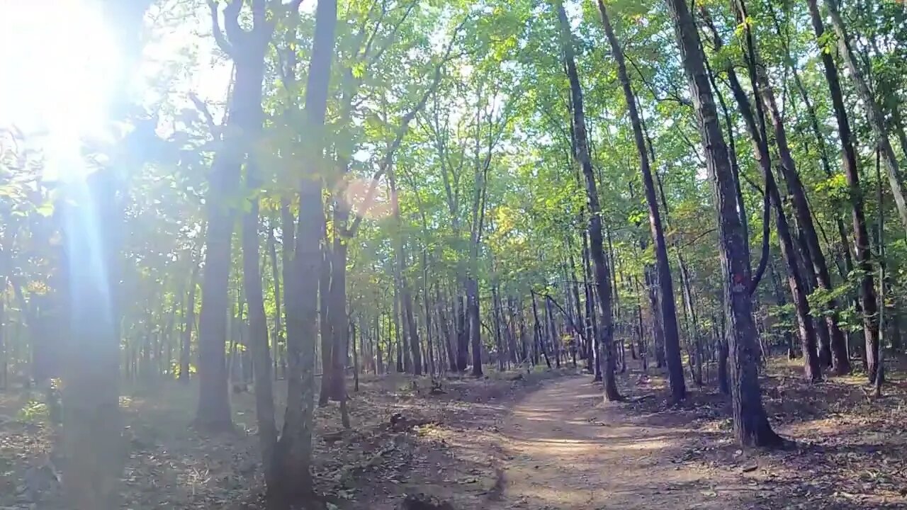 Crowders Mountain State Park | Pinnacle Trail