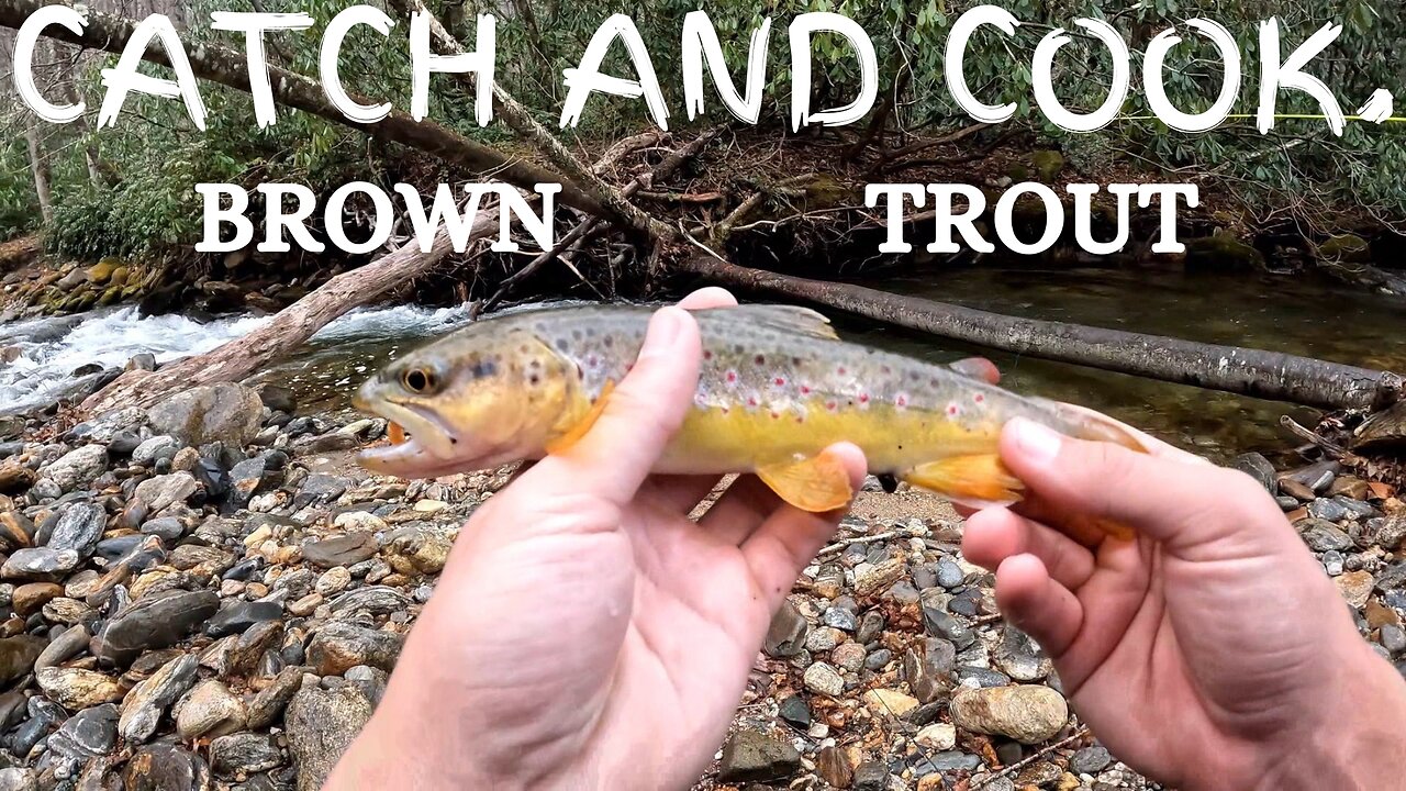 Amazing Brown Trout Wraps : Cookout At A Beautiful Mountain Stream !!!