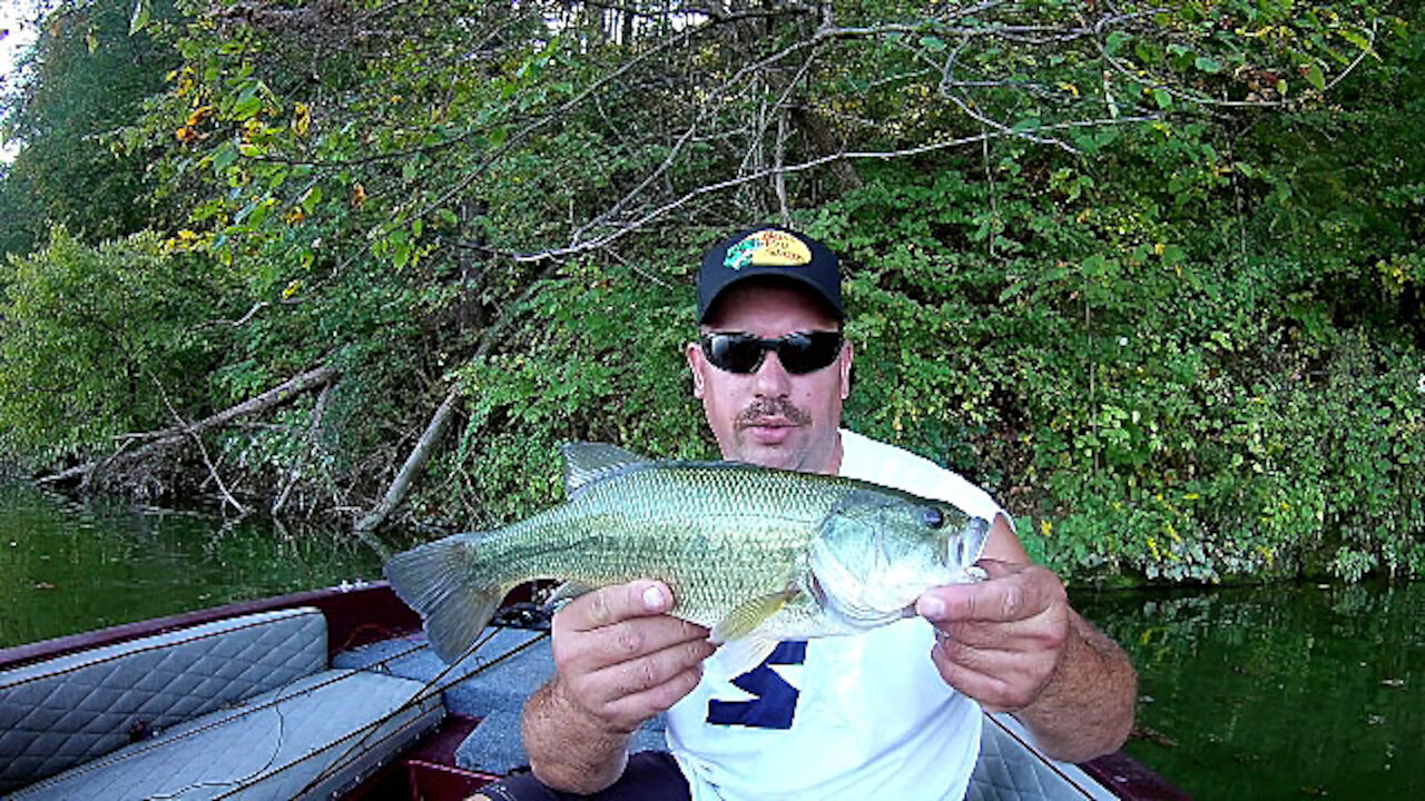 Blue Marsh Lake Bass Tournament