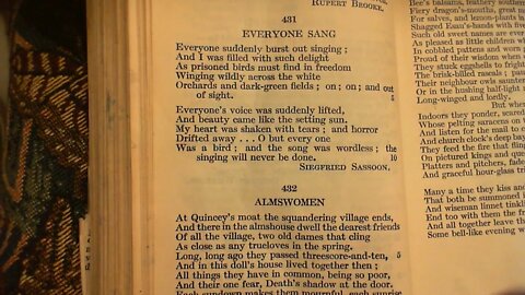 Everyone Sang - Siegfried