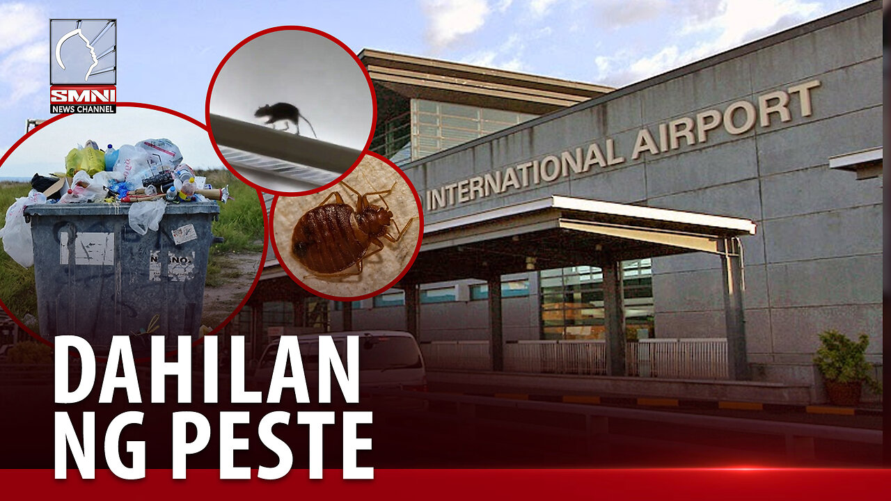 Pagkakalat ng mga pasahero sa NAIA dahilan upang magkaroon ng mga peste