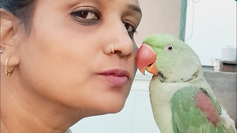 Parrot masti