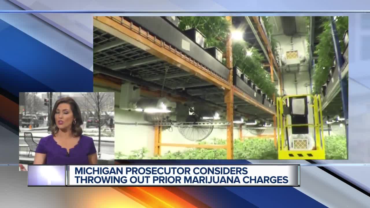 Prosecutor dropping some marijuana cases after Michigan vote