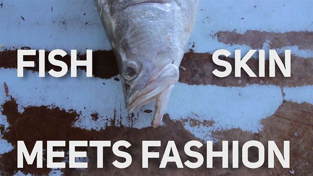 Wearing fish.... Yes, it's a thing and it's awesome
