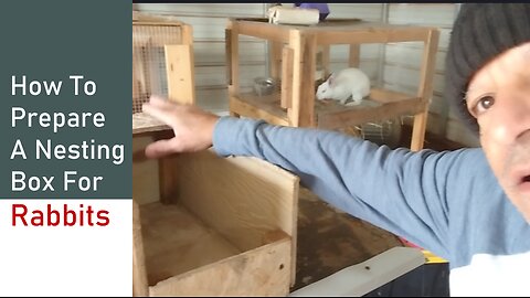 How To Prepare A Nesting Box For Rabbits