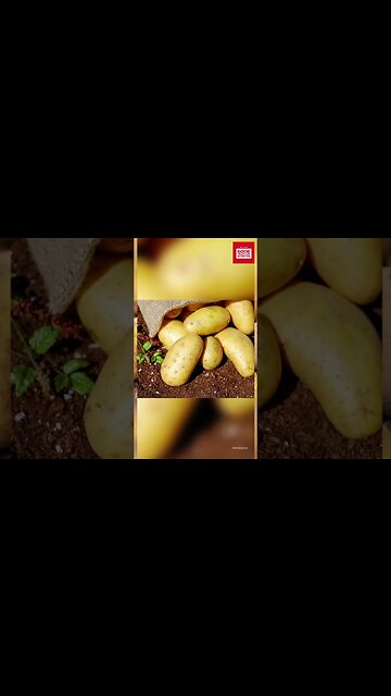 How to peel hot sweet potato quickly.#shorts