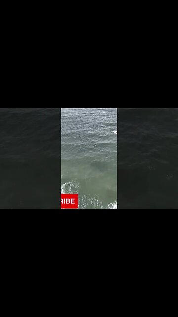 #best #dronevideo #camera #funny