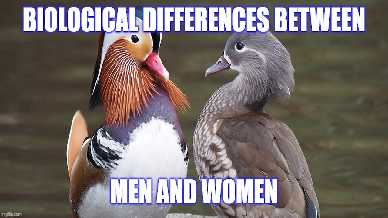 Sexual Dimorphism