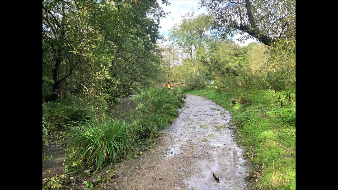 Why are children wearing hi vis vests to walk in the woods?