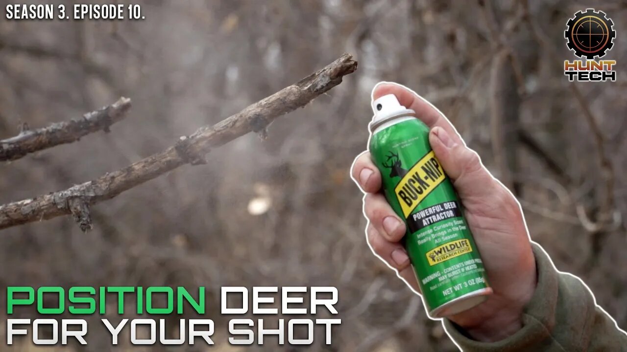 A Curiosity Scent That Will Stop an Early-Season Buck in its Tracks