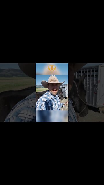 Where to Find Wild Horses in Montana?🐴🌄