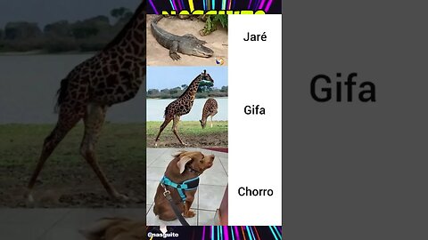 Memes em imagens - JARÉ, GIFA E CHORO #shorts
