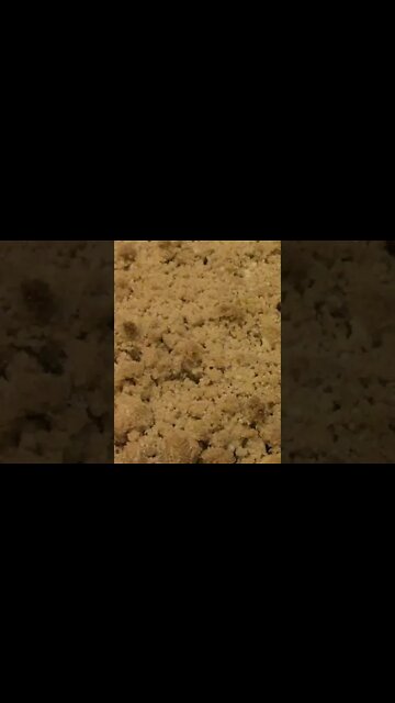 Turkey Day #Shorts 🍠