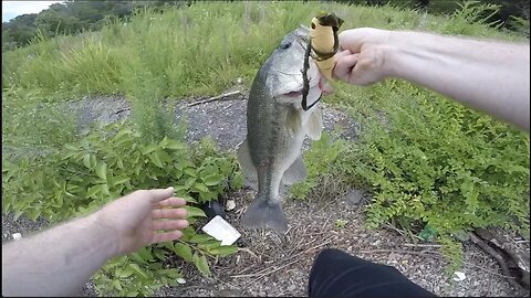 It FINALLY Caught a Bass!!!