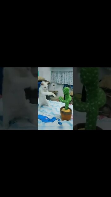 эти приколы искали все / приколы 2022 / приколы 2022 тик ток / тик ток приколы смотреть