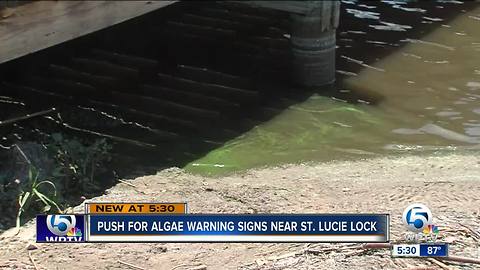 Visitors wish for algae warning signs to be posted near St.Lucie Lock