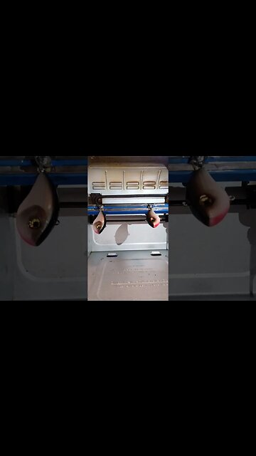 2 custom Minnow raps