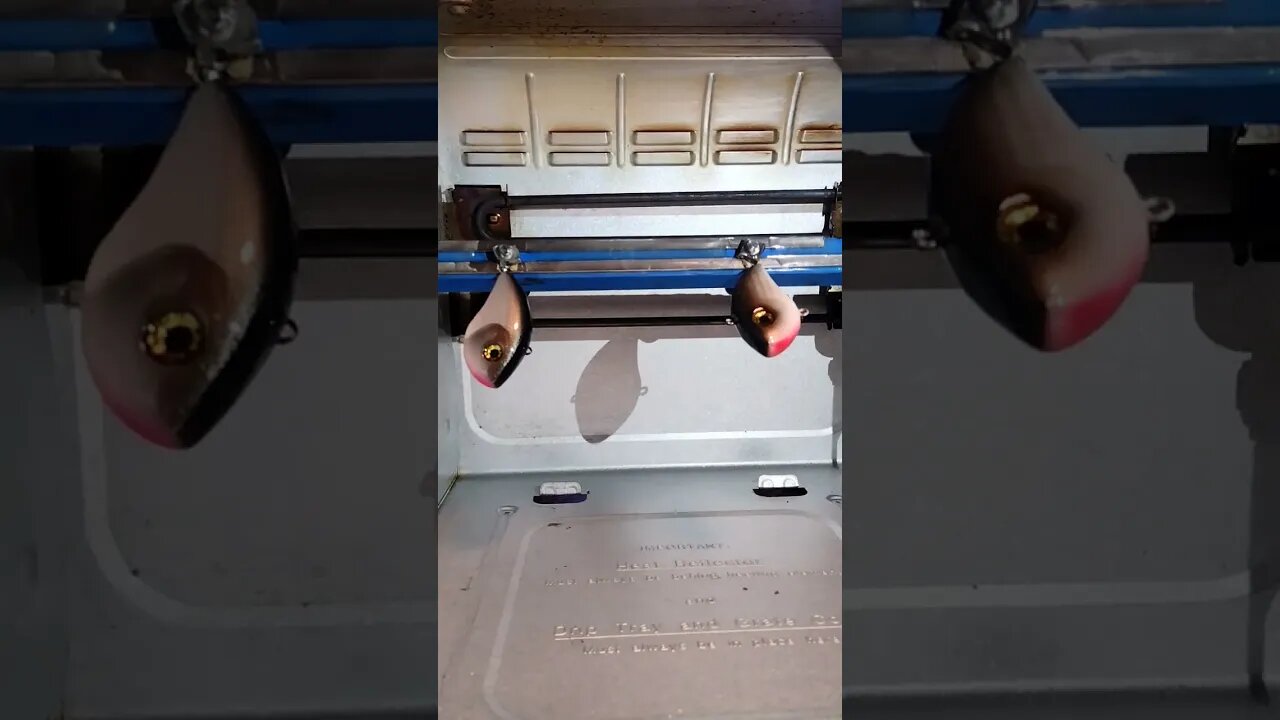 2 custom Minnow raps
