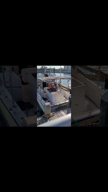 Pro Fisherman Cleaning His Catch 🎣 🛥 | Florida Living | Panama City, Florida #shorts