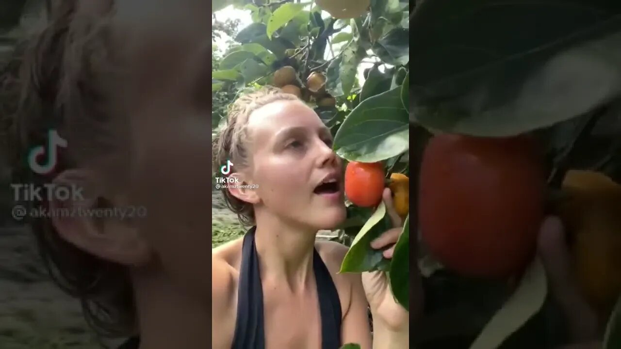 Straight From The Source 🌿