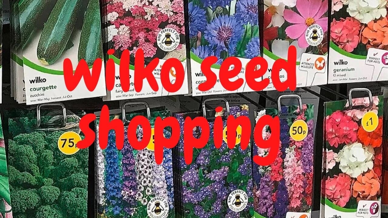 Wilkinsons Seed shopping trip in Bradford