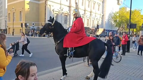 Horse freaks out Kings guards stops horse from running in the road.