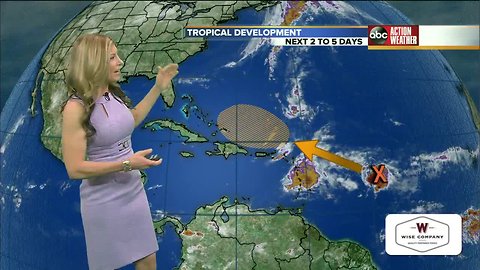 Tracking the Tropics | November 11, 8 a.m.