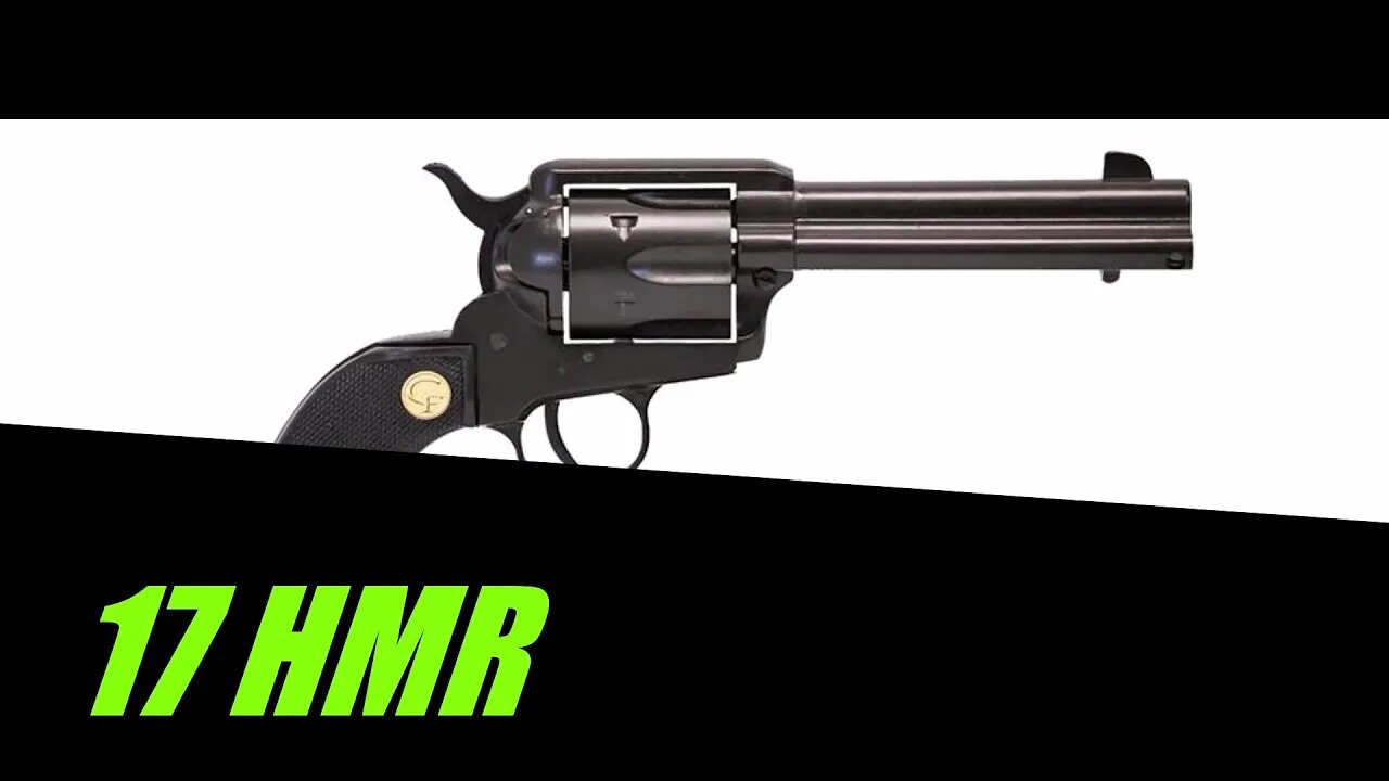 wheel gun Wednesday chiappa 1873 in 17hmr unboxing. Emmett will be heping me on this one!