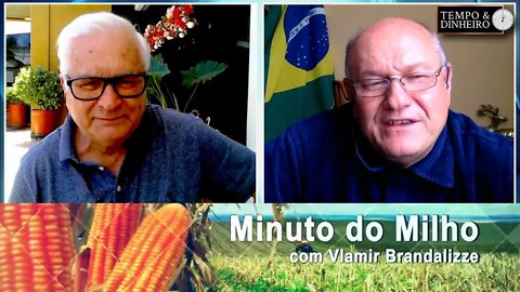 Milho segue atrativo nos portos