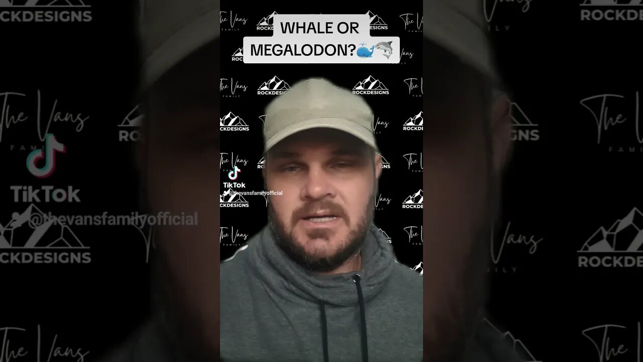 Megalodon Shark or Whale?