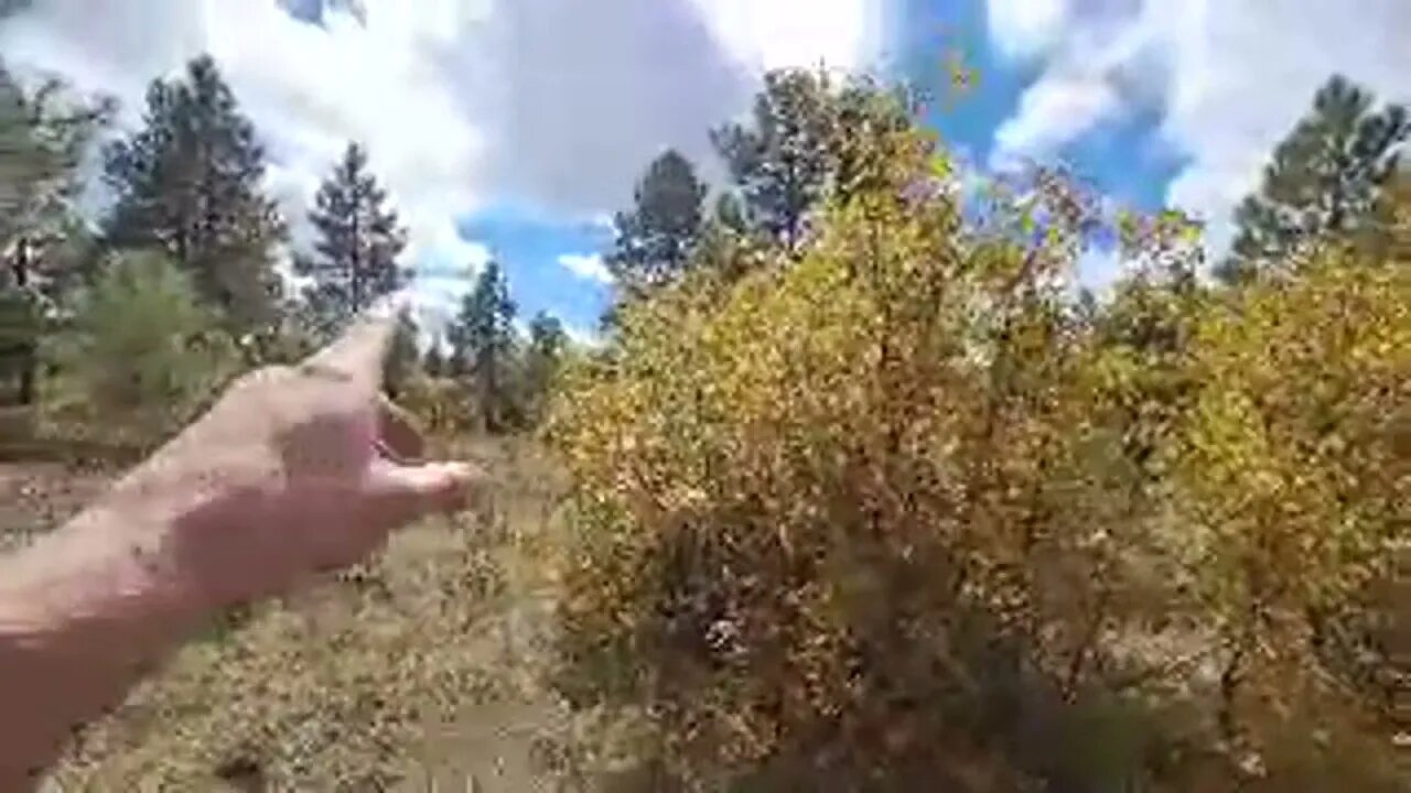 Exploring Mountain By Archuleta Mesa, Live