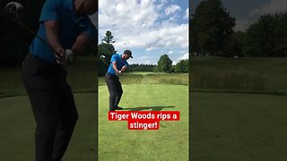 Tiger Woods rips a stinger! #tigerwoods #golf #tomgillisgolf