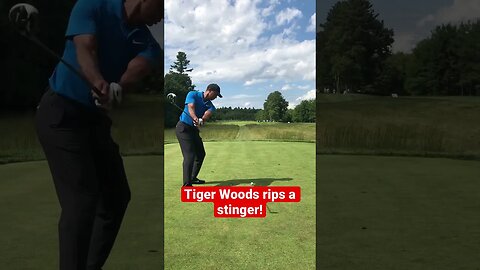Tiger Woods rips a stinger! #tigerwoods #golf #tomgillisgolf