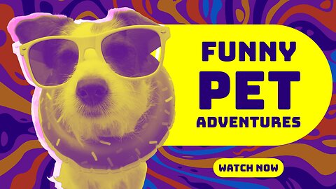 "Guaranteed Laughs! Funny Animal Videos Series!"