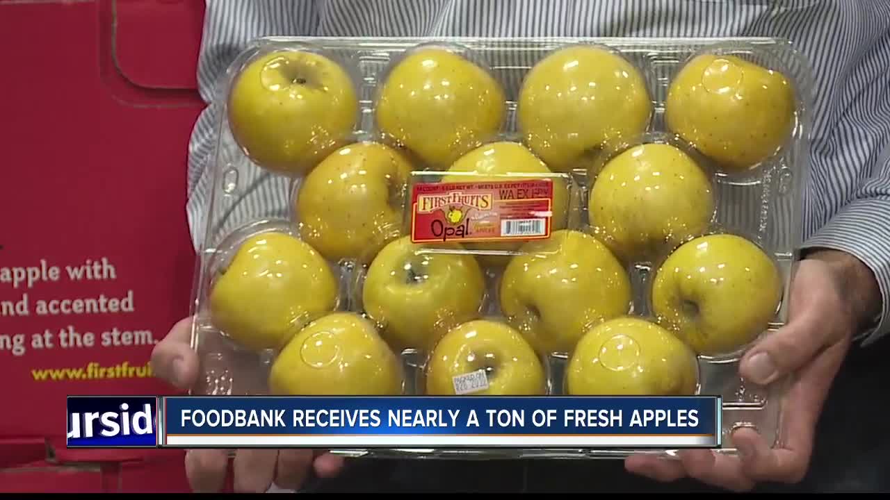 Idaho Foodbank gets a huge donation--nearly a ton of apples!