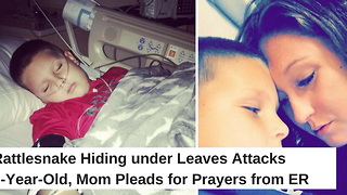 Rattlesnake Hiding under Leaves Attacks 7-Year-Old, Mom Pleads for Prayers from ER