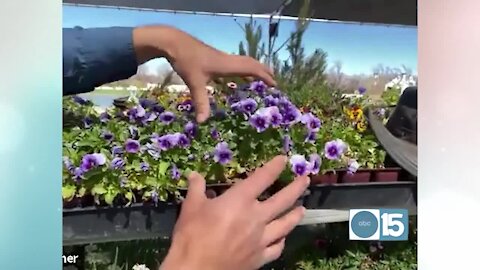 3 tips to have a beautiful spring garden