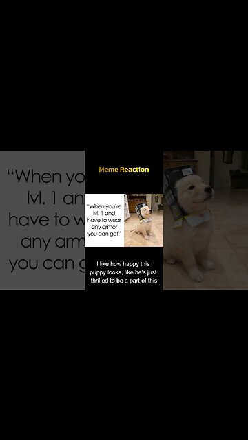 Good Boy's wear what they want - Meme Reaction 45 #shorts #gamingmemes