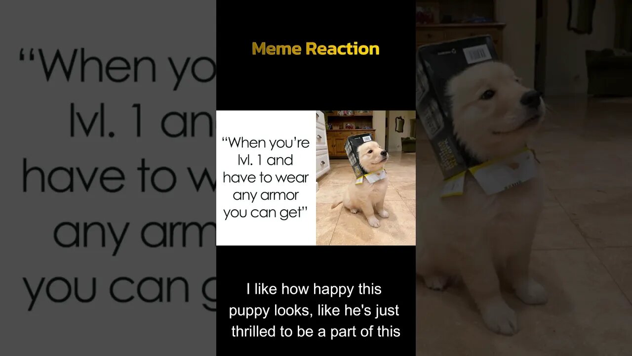 Good Boy's wear what they want - Meme Reaction 45 #shorts #gamingmemes