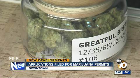 Applicants file early for marijuana permits