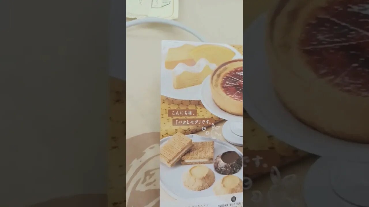 #etsukojunio #etsukofans #fransiscaofficial #teamfransisca #沉连清 #fransisca #fransiscametaworld