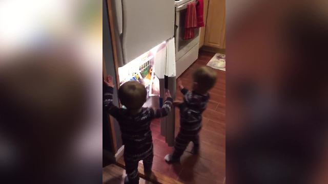 Boy Hits His Twin Brother In A Head With A Freezer Door