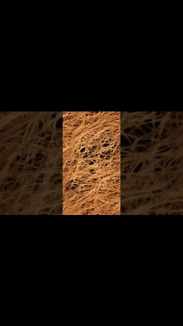 Most Amazing and trending video||relaxing your mind||trendig videos|| #shorts #trending #viral #live