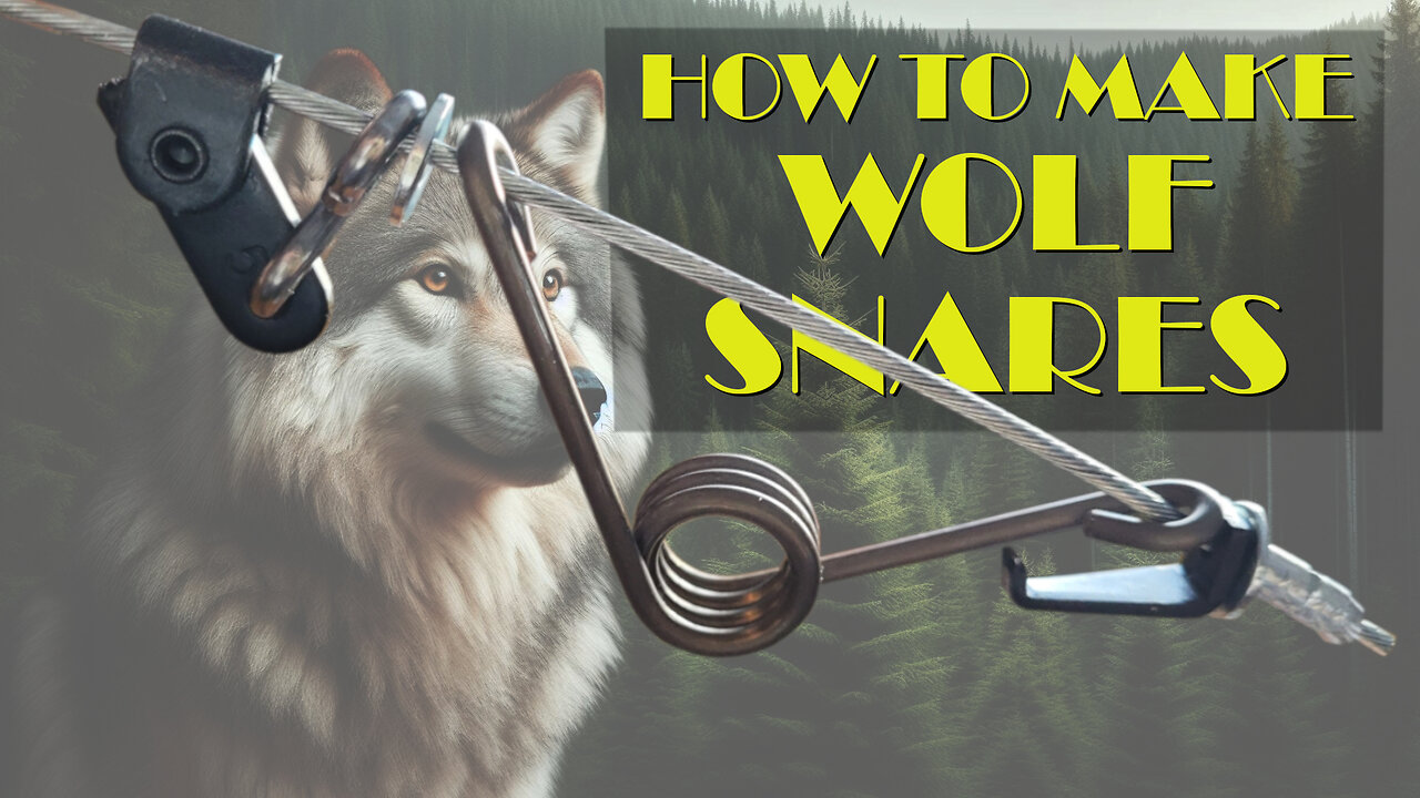 How To Make A "Stinger" Wolf Snare