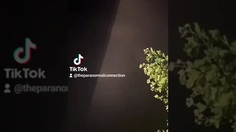 What am I seeing?
