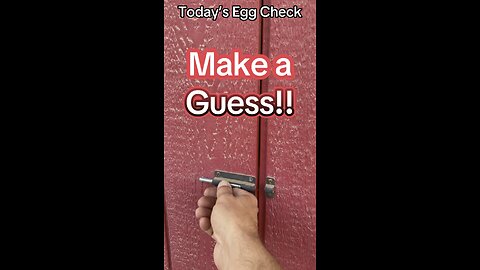 Today’s #Egg Check!