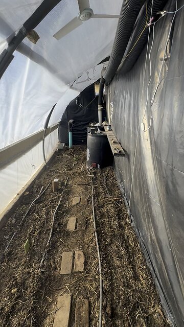 Growing food in the winter