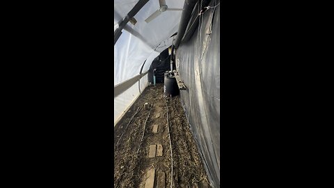Growing food in the winter