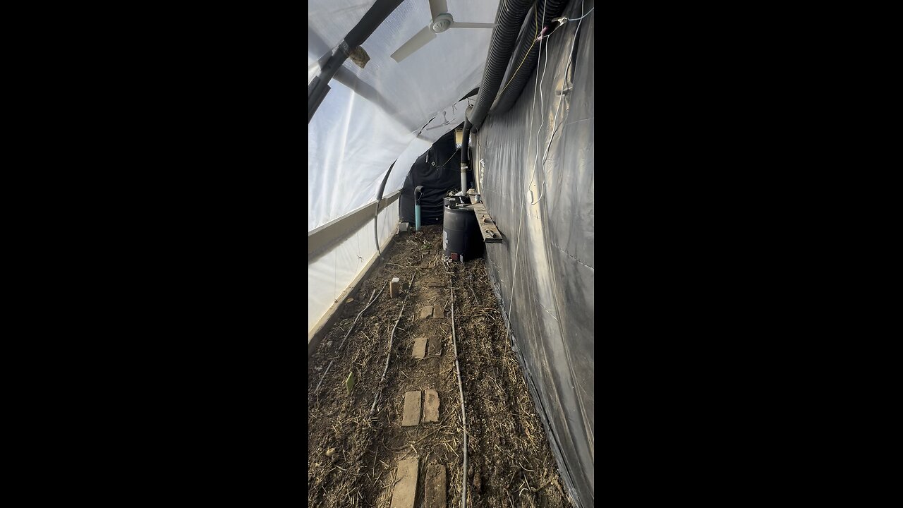 Growing food in the winter
